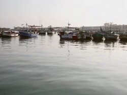 WS View of various boats on seaport / Paracas, Nazca, Peru Stock Footage