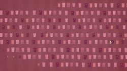 TED-ED: The Infinite Hotel Paradox - Jeff Dekofsky Instructional Video