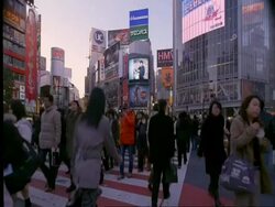 MS people on pedestrian crossing, Shibuya early evening, Tokyo, Japan Stock Footage