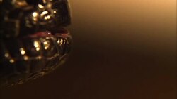 A Gila monster flicks its tongue. Stock Footage