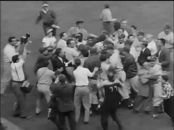 B/W 1955 high angle crowd of Brooklyn Dodgers celebrating + moving across field at end of World Series Stock Footage