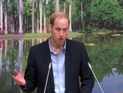 Prince William Visits China-Prince William delivers a speech on wildlife News Clip