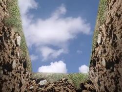 into the grave Stock Footage