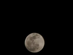 Full moon rising (Time lapse). Stock Footage