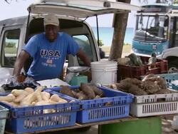MS Fruit stall by the sea / Brightown, Barbados Stock Footage