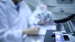 Researchers working in laboratory Stock Footage
