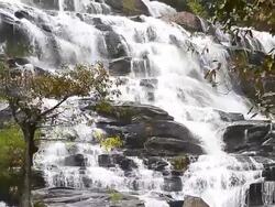 Dolly Shot: Cascade Waterfalls in Tropical Rainforests Stock Footage