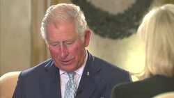 Interview with Prince Charles at the Our Ocean conference in Malta News Clip