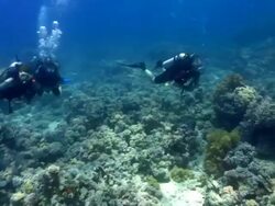 Sharm4 Stock Footage