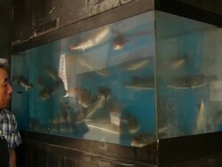 Japan, Tokyo Stock Footage