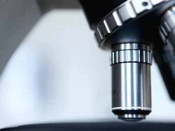 Microscopy (HD) Stock Footage