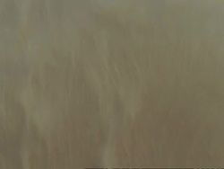 WA Aerial view of sand blowing across desert in sandstorm, Oman Stock Footage