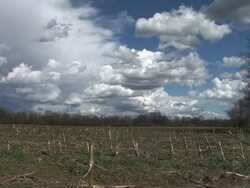 HD: Cloudy weather Stock Footage