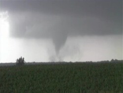 Strong tornado early in life, funnel forms and becomes less distinct, swirls of cloud spin around, USA Stock Footage