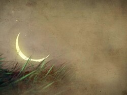 Moon And Mysterious Night Scene Stock Footage