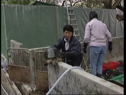 Conservationists battle to save smuggled turtles News Clip