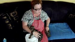 CLEAN: Jaguar cubs lapping up milk and cuddles at Nicaraguan zoo News Clip