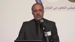 GCC official reflects on important ties with Japan News Clip