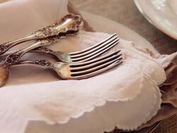 CU ZO silver forks and napkins Stock Footage