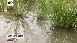 New school prepares youth for climate change News Clip