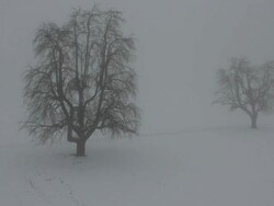 Aerial W/S, Atmospheric Landscape in winter with snow Stock Footage