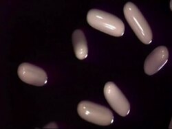 SLO MO - CU white capsules falling right to left through frame, black background Stock Footage
