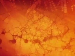 Abstract bright colored chaos Stock Footage