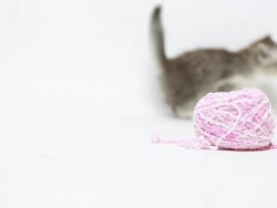 Crochet Stock Footage
