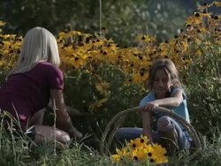 mothers & daughter pick flowers Stock Footage
