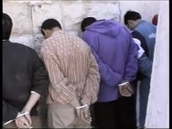 Amateur video of Israeli army rounding up Palestinians News Clip