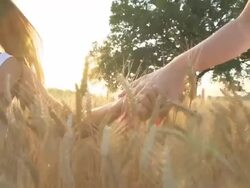 HD SUPER SLOW-MOTION: Holding Hands In Golden Wheat Stock Footage