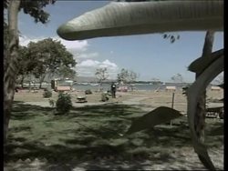 Preparations for independence celebrations Instructional Video