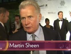 EVENT CAPSULE REPORTER/CHYRON: amfAR Cinema Against AIDS - 2010 Toronto, Ontario, Canada, 9/12/10 Stock Footage