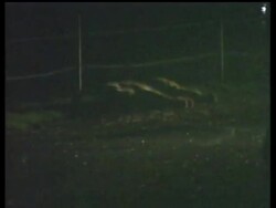 The two brothers who survived a Christmas Day tiger attack at the San Francisco Zoo that killed their friend were denied help for at least 30 minutes by zoo security who did not take their claims seriously, the brothers' attorney said Tuesday News Clip