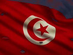 Flag of Tunisia, struggle for freedom Stock Footage