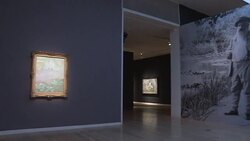 CLEAN : Rare Van Gogh & most valuable collection ever head to auction News Clip