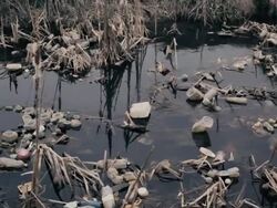 Polluted river Stock Footage
