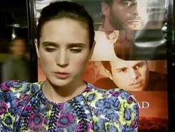 'Reservation Road' Los Angeles Premiere Stock Footage