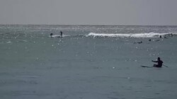 Surfers and swimmers off Waikiki Beach News Clip
