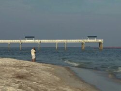 Tarballs Wash Up on Orange Beach, Alabama coast Stock Footage