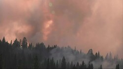 Hundreds of firefighters deployed to tackle a wildfire north of Yosemite National Park News Clip