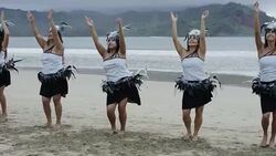 Traditional Hawaiian Hula Dancers Stock Footage
