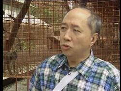 PHILIPPINES: MANILA: HEALTH OFFICIALS BEGIN TO KILL 600 MONKEYS UPDATE News Clip