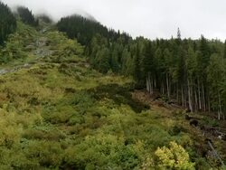 A stream runs down the mountain Stock Footage