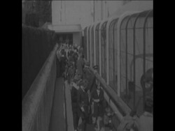 SYND 29 4 68 BABY MONKEY News Clip