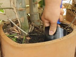 Hand loosen the soil Stock Footage