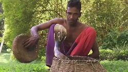 Snake Charmer in Sri Lanka Stock Footage