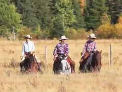 Cowboy and two cowgirls riding through the mountain foothills Stock Footage