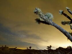 Joshua Tree National Park Stock Footage