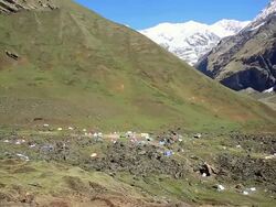 WS HA Camp of sex herb collectors surrounding Himalayan / Durma, Banke District, Nepal Stock Footage